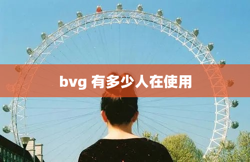 bvg 有多少人在使用