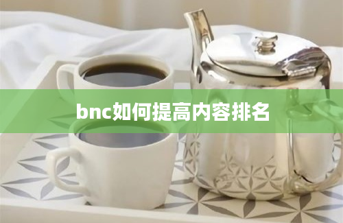 bnc如何提高内容排名