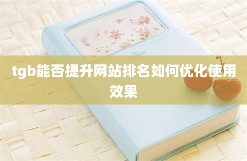 tgb能否提升网站排名如何优化使用效果