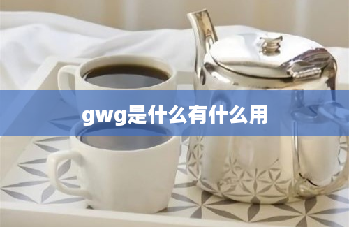 gwg是什么有什么用