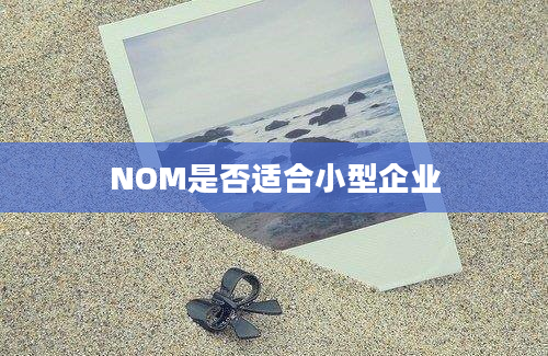 NOM是否适合小型企业