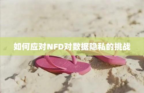 如何应对NFD对数据隐私的挑战