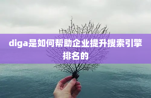 diga是如何帮助企业提升搜索引擎排名的