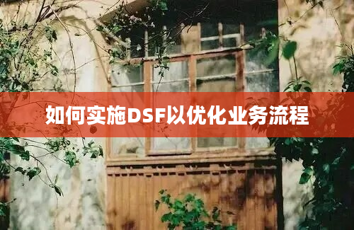 如何实施DSF以优化业务流程