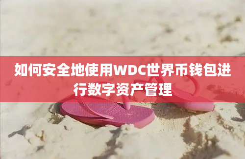 如何安全地使用WDC世界币钱包进行数字资产管理