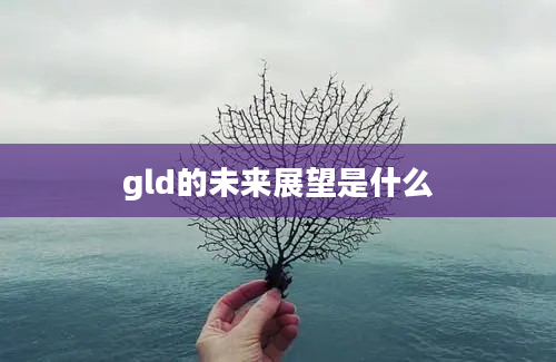 gld的未来展望是什么