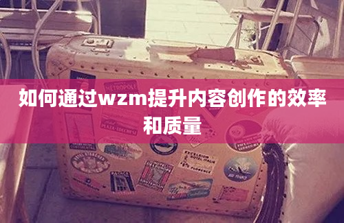 如何通过wzm提升内容创作的效率和质量