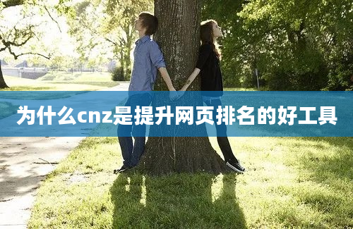 为什么cnz是提升网页排名的好工具