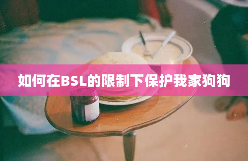 如何在BSL的限制下保护我家狗狗