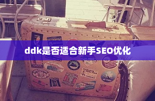 ddk是否适合新手SEO优化