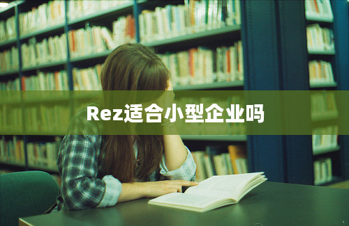 Rez适合小型企业吗