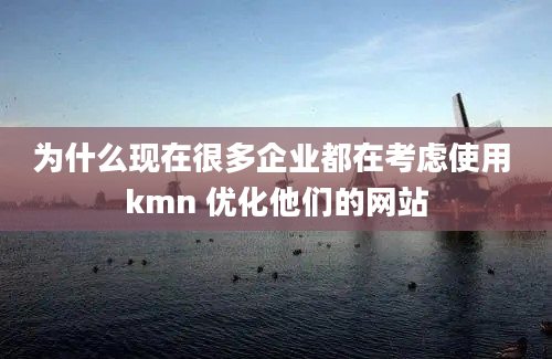 为什么现在很多企业都在考虑使用 kmn 优化他们的网站