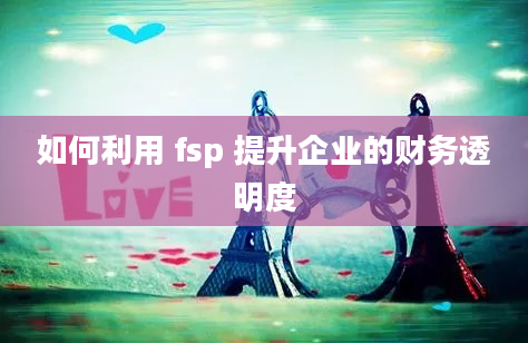 如何利用 fsp 提升企业的财务透明度