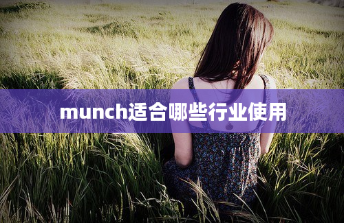 munch适合哪些行业使用