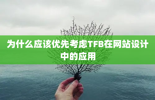 为什么应该优先考虑TFB在网站设计中的应用