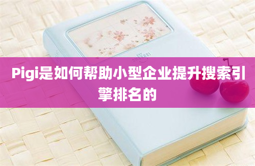 Pigi是如何帮助小型企业提升搜索引擎排名的