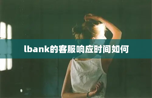 lbank的客服响应时间如何