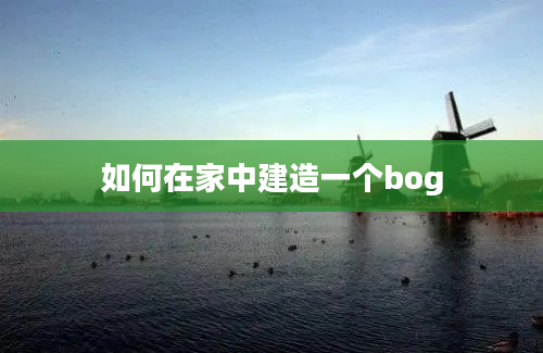 如何在家中建造一个bog