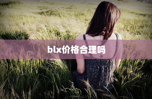 blx价格合理吗