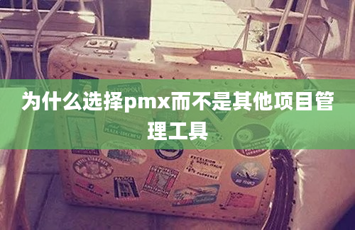 为什么选择pmx而不是其他项目管理工具