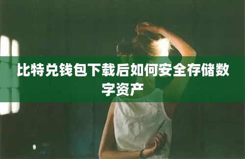 比特兑钱包下载后如何安全存储数字资产