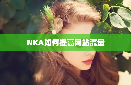 NKA如何提高网站流量