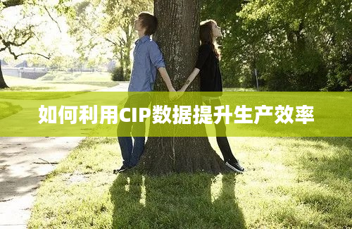 如何利用CIP数据提升生产效率