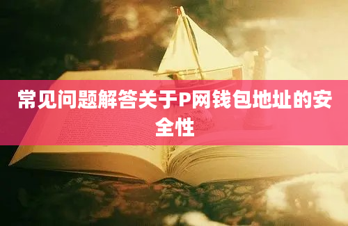 常见问题解答关于P网钱包地址的安全性