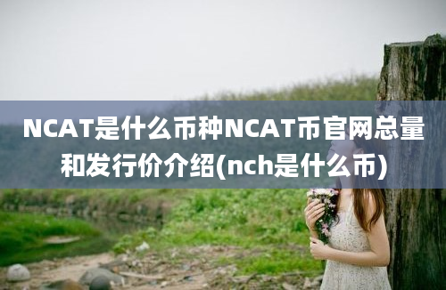 NCAT是什么币种NCAT币官网总量和发行价介绍(nch是什么币)