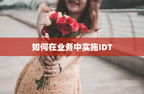 如何在业务中实施IDT