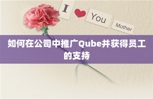 如何在公司中推广Qube并获得员工的支持