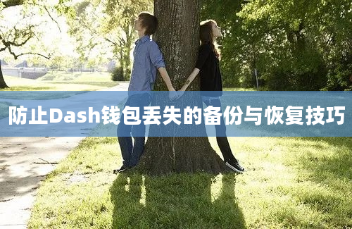 防止Dash钱包丢失的备份与恢复技巧