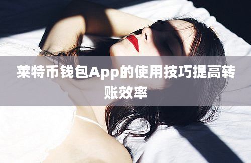 莱特币钱包App的使用技巧提高转账效率