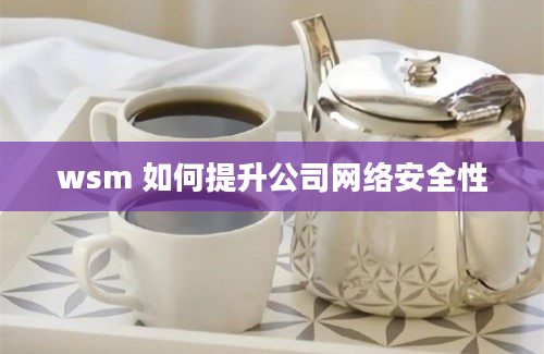 wsm 如何提升公司网络安全性