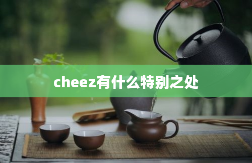 cheez有什么特别之处