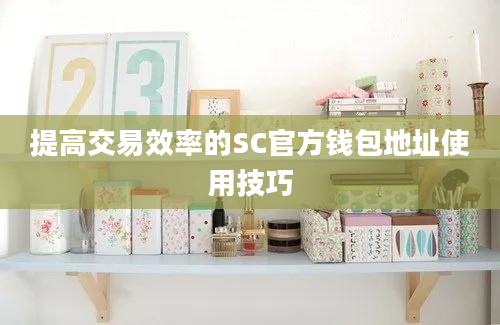 提高交易效率的SC官方钱包地址使用技巧