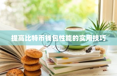 提高比特币钱包性能的实用技巧