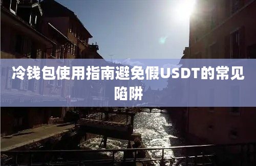 冷钱包使用指南避免假USDT的常见陷阱