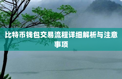 比特币钱包交易流程详细解析与注意事项