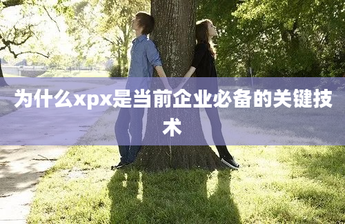 为什么xpx是当前企业必备的关键技术