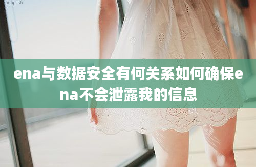 ena与数据安全有何关系如何确保ena不会泄露我的信息