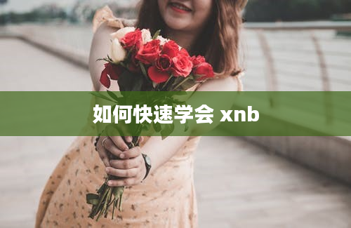 如何快速学会 xnb