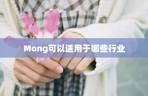 Mong可以适用于哪些行业