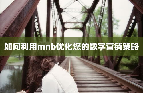 如何利用mnb优化您的数字营销策略