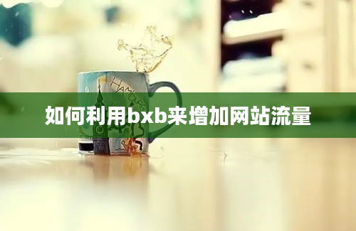 如何利用bxb来增加网站流量