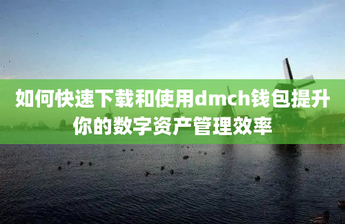 如何快速下载和使用dmch钱包提升你的数字资产管理效率