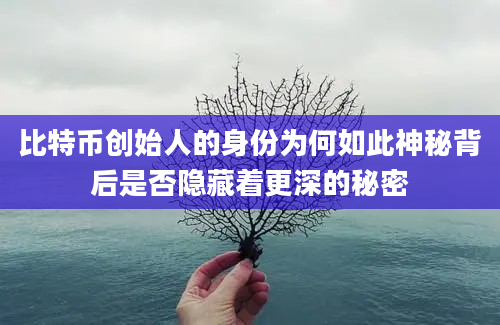 比特币创始人的身份为何如此神秘背后是否隐藏着更深的秘密