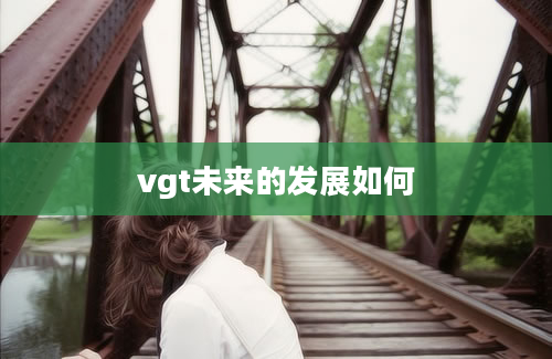 vgt未来的发展如何