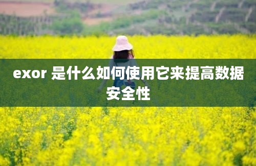 exor 是什么如何使用它来提高数据安全性