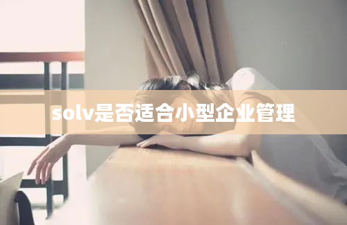 solv是否适合小型企业管理